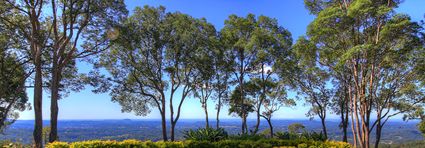 View near Poets Cafe - Montville - QLD (PB5D 00 U3A5794)